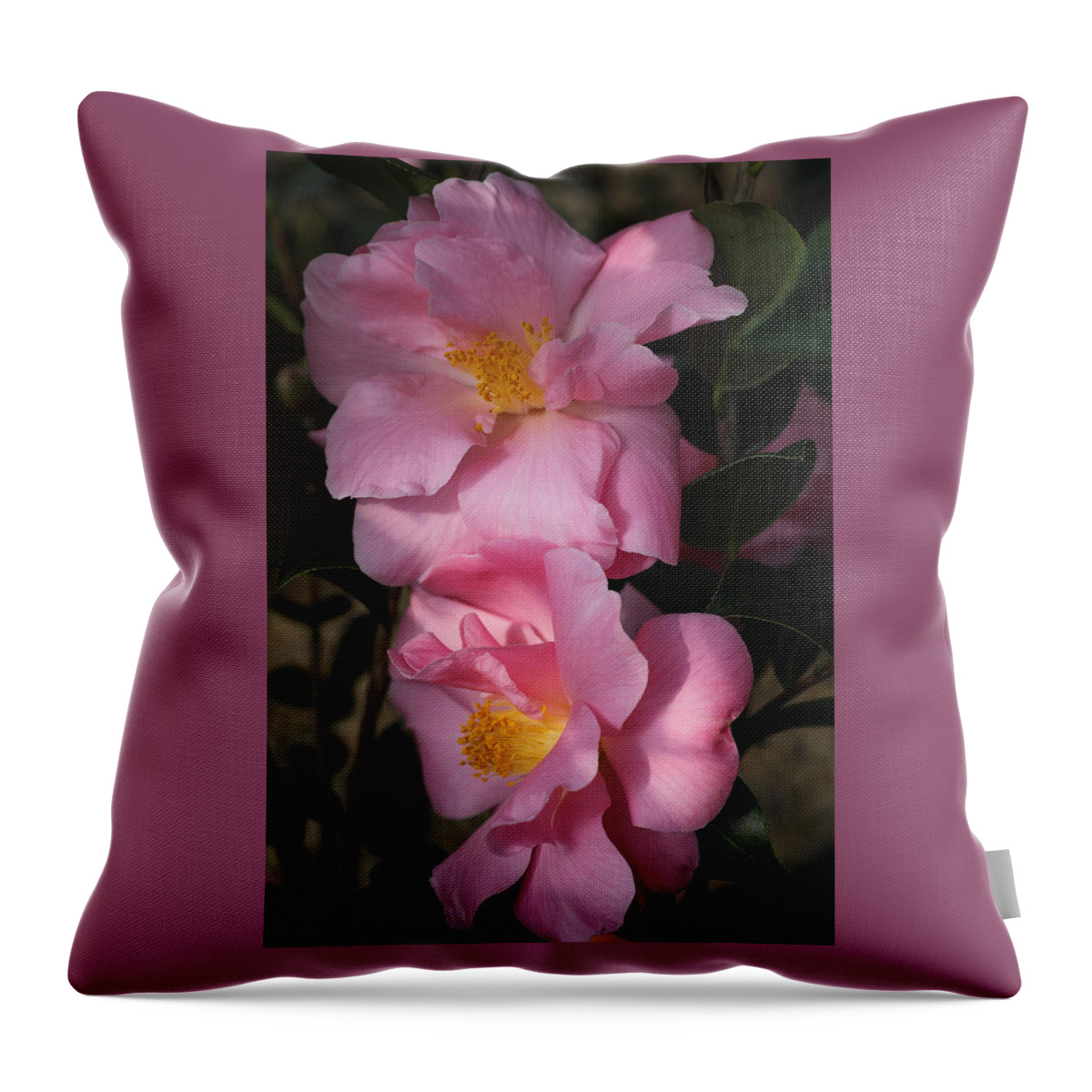 Flowers Throw Pillow featuring the photograph Pink Parfait by Tammy Pool