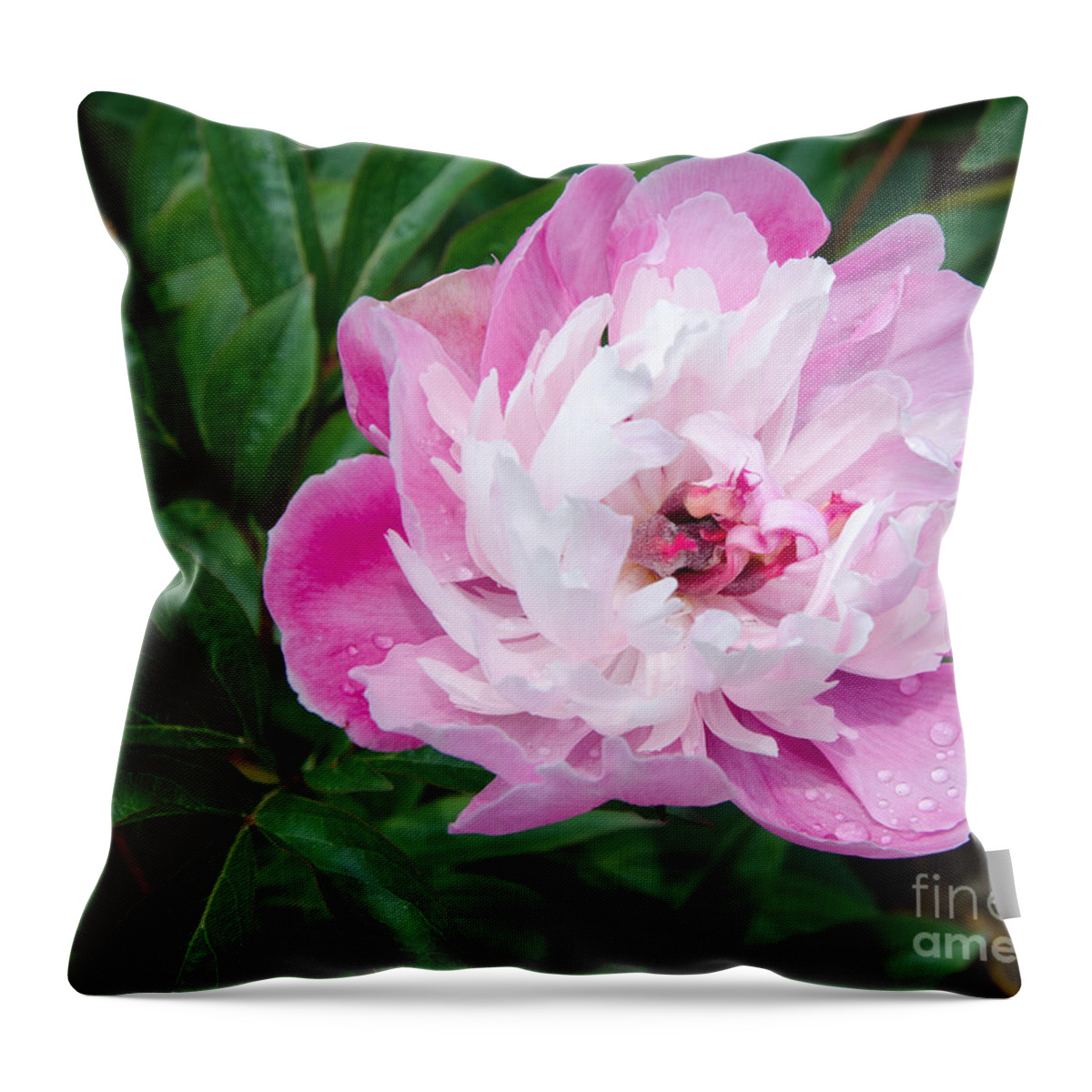 Pink Throw Pillow featuring the painting Pink Peony by Laurel Best