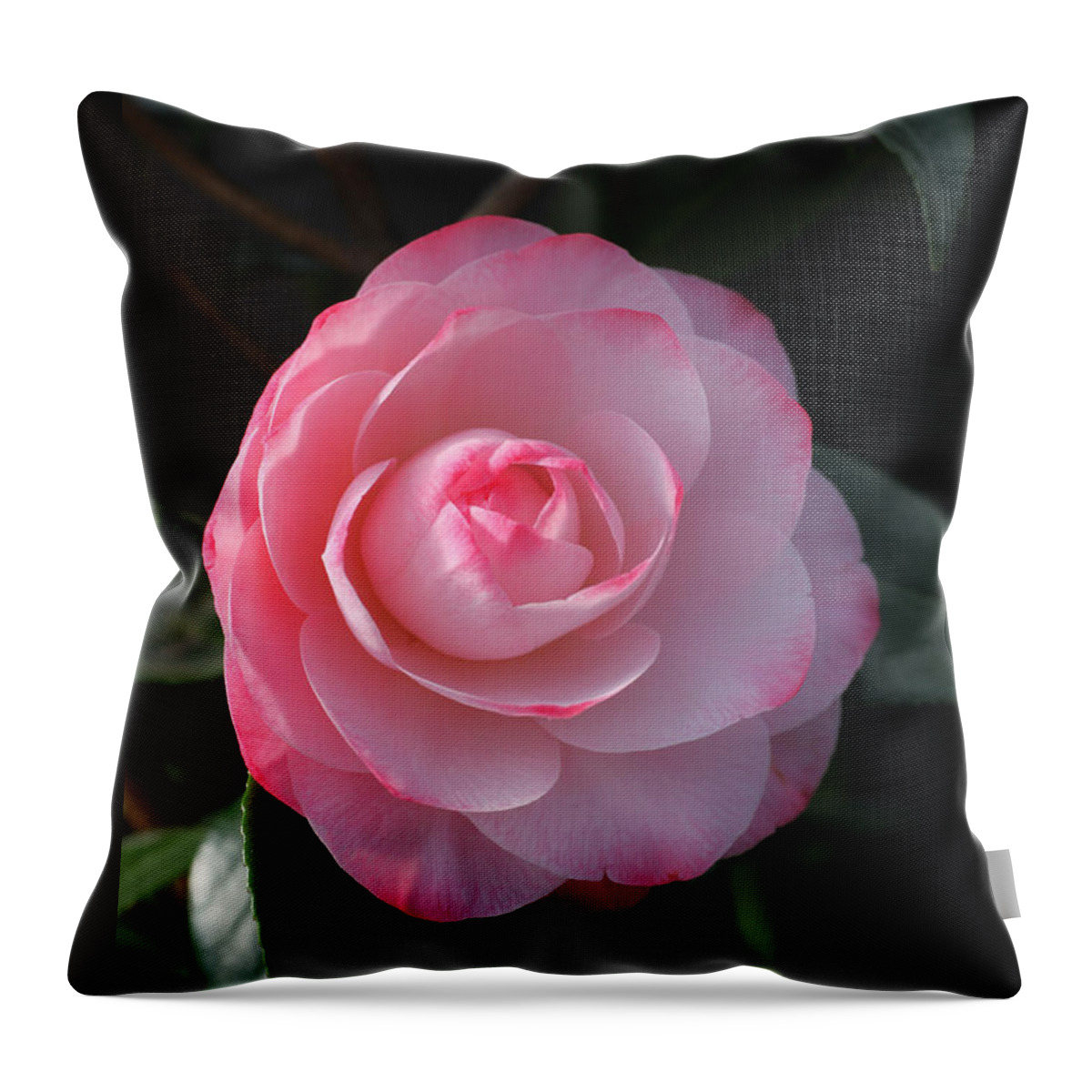 Flower Throw Pillow featuring the photograph Pink Petals Camellia by Tammy Pool