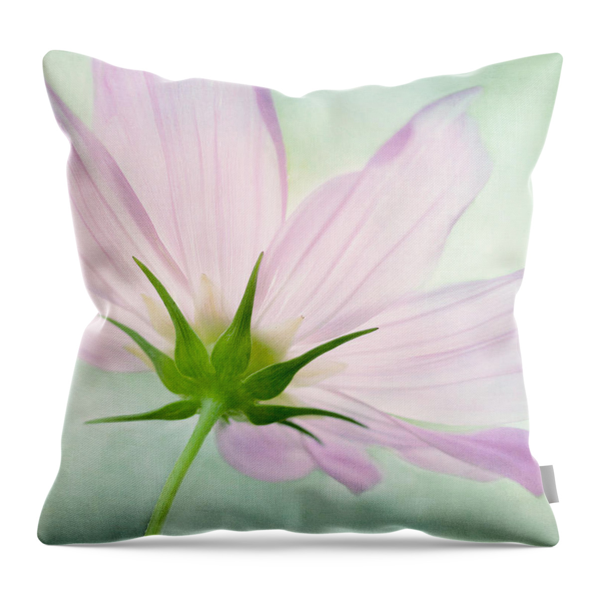 Pink Cosmos Flower Throw Pillow featuring the mixed media Pink Petals by Marina Kojukhova