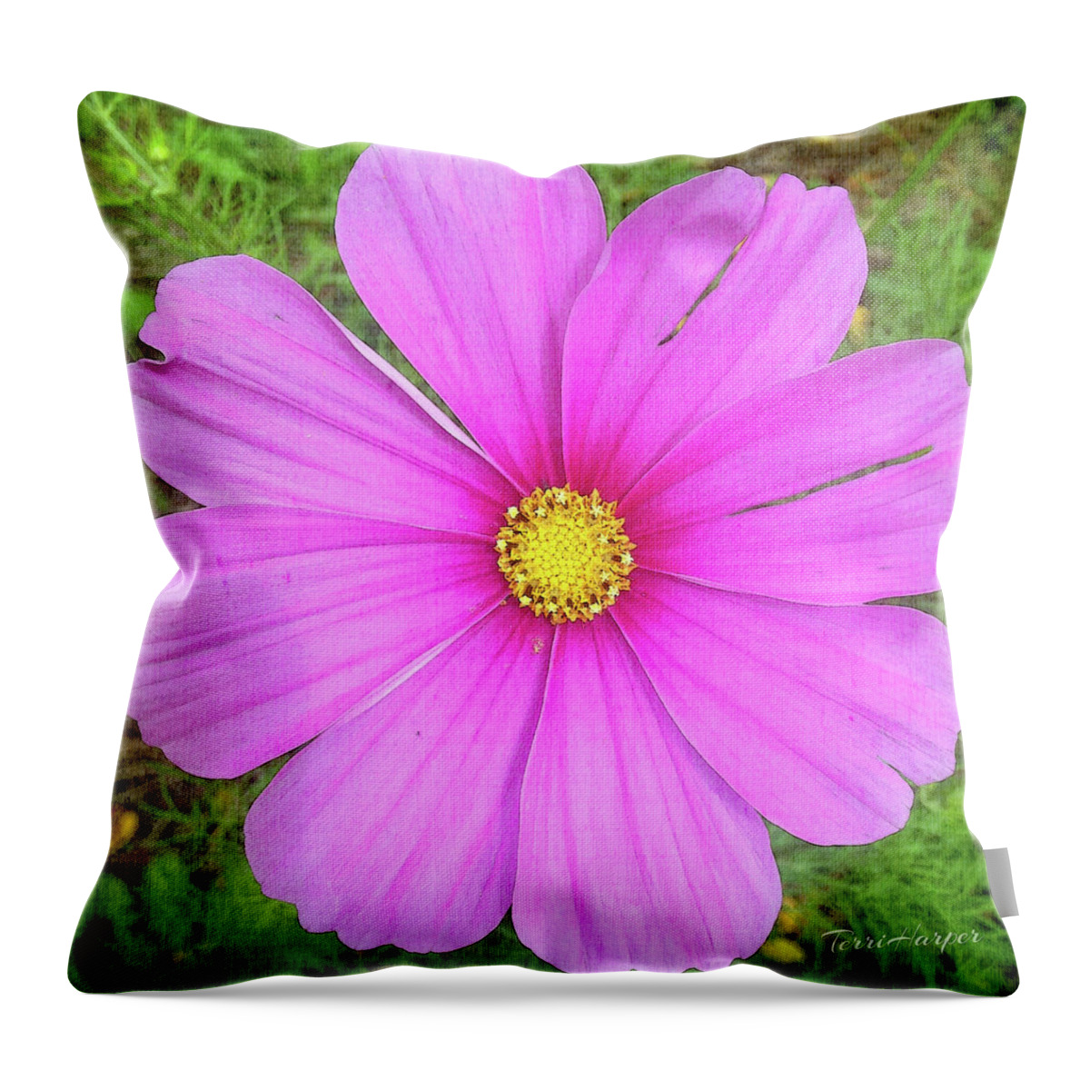 Pink Throw Pillow featuring the photograph Pink by Terri Harper