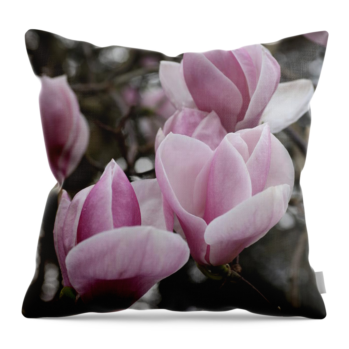 Tulips Throw Pillow featuring the photograph Pink Tulip Tree by Tammy Pool