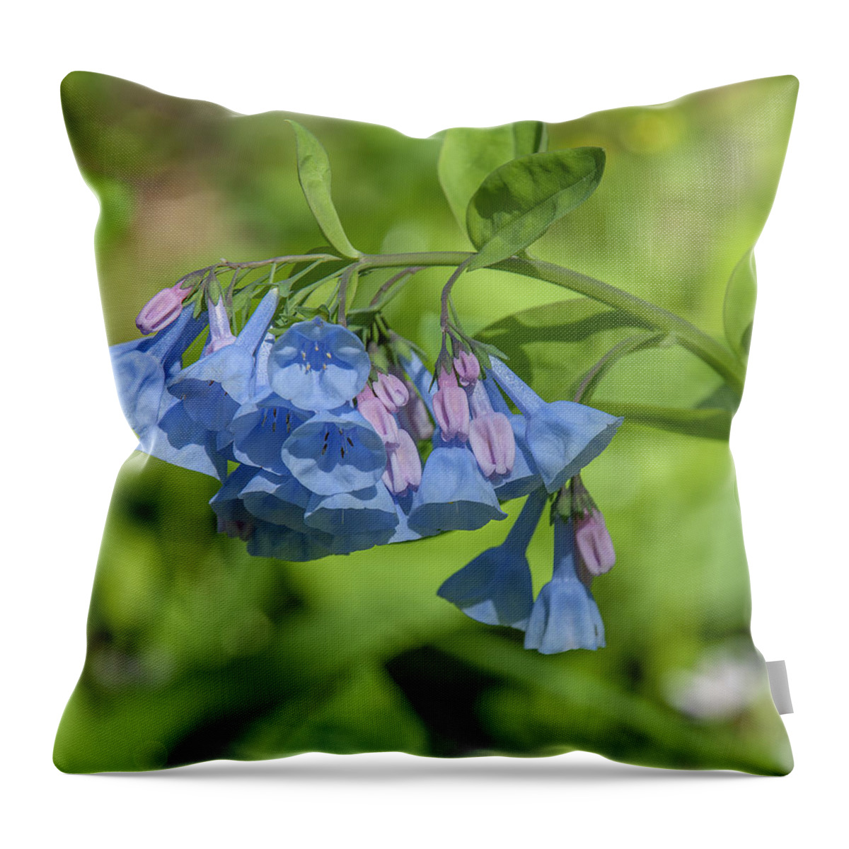 Nature Throw Pillow featuring the photograph Pink Virginia Bluebells or Virginia Cowslip DSPF0334 by Gerry Gantt