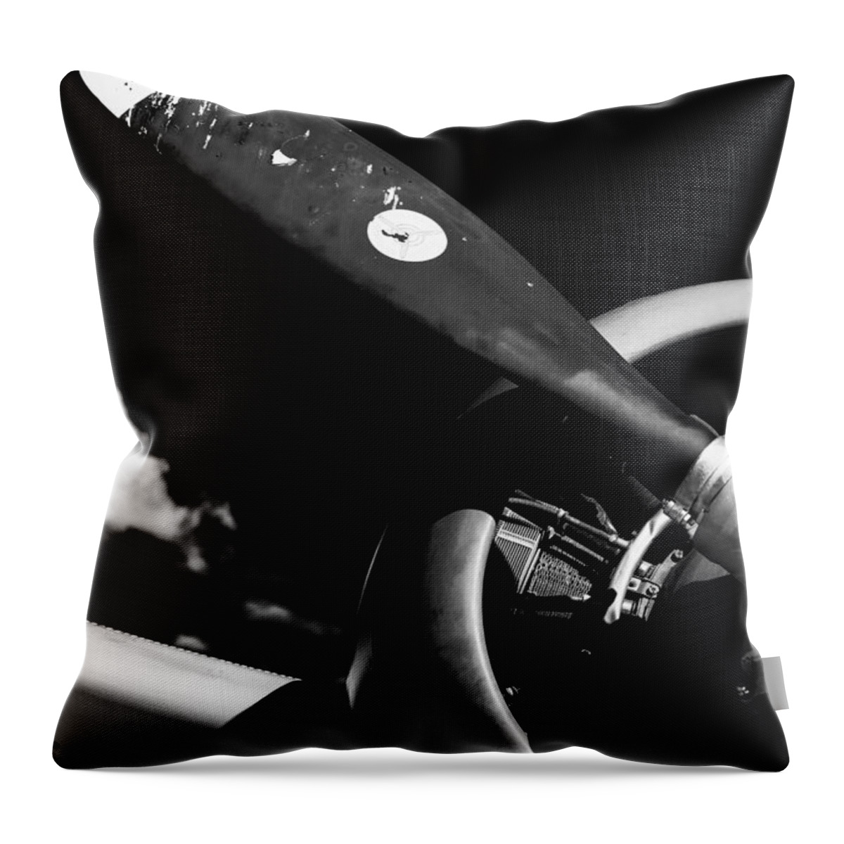 Plane Throw Pillow featuring the photograph Plane Portrait 1 by Ryan Weddle