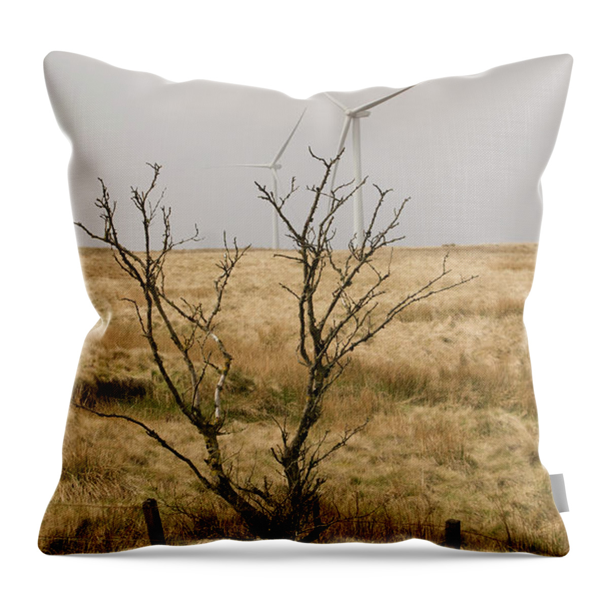Windmill Throw Pillow featuring the photograph Planted. by Elena Perelman