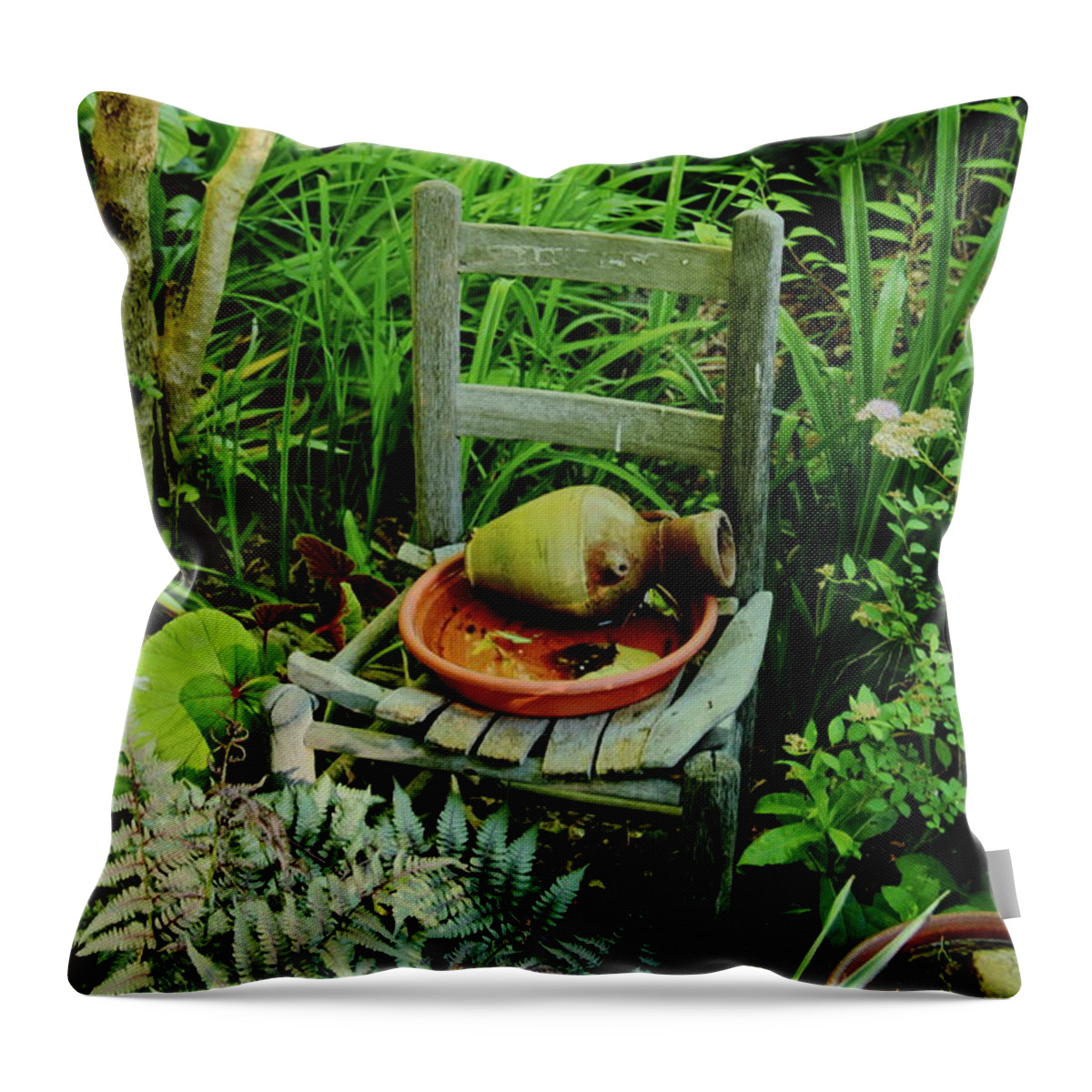 Plants Throw Pillow featuring the photograph Plants and Simple Things by Allen Nice-Webb