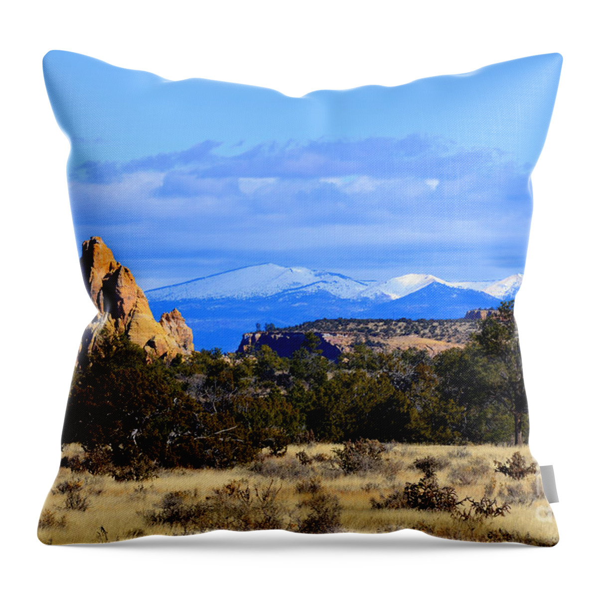 Southwest Landscape Throw Pillow featuring the photograph Point with a view by Robert WK Clark