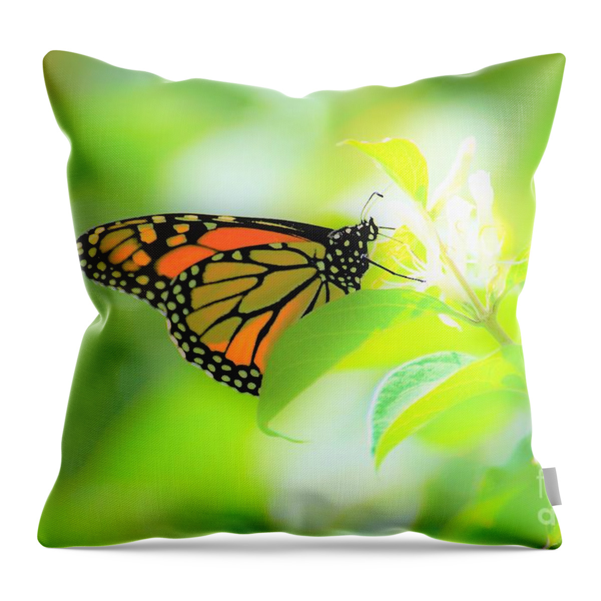 Butterflies Throw Pillow featuring the photograph Poka Dots by Merle Grenz