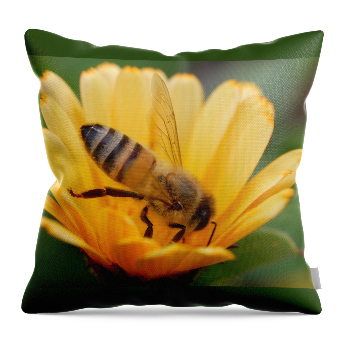 Bee Throw Pillow featuring the photograph Pollination 2 by Amy Fose