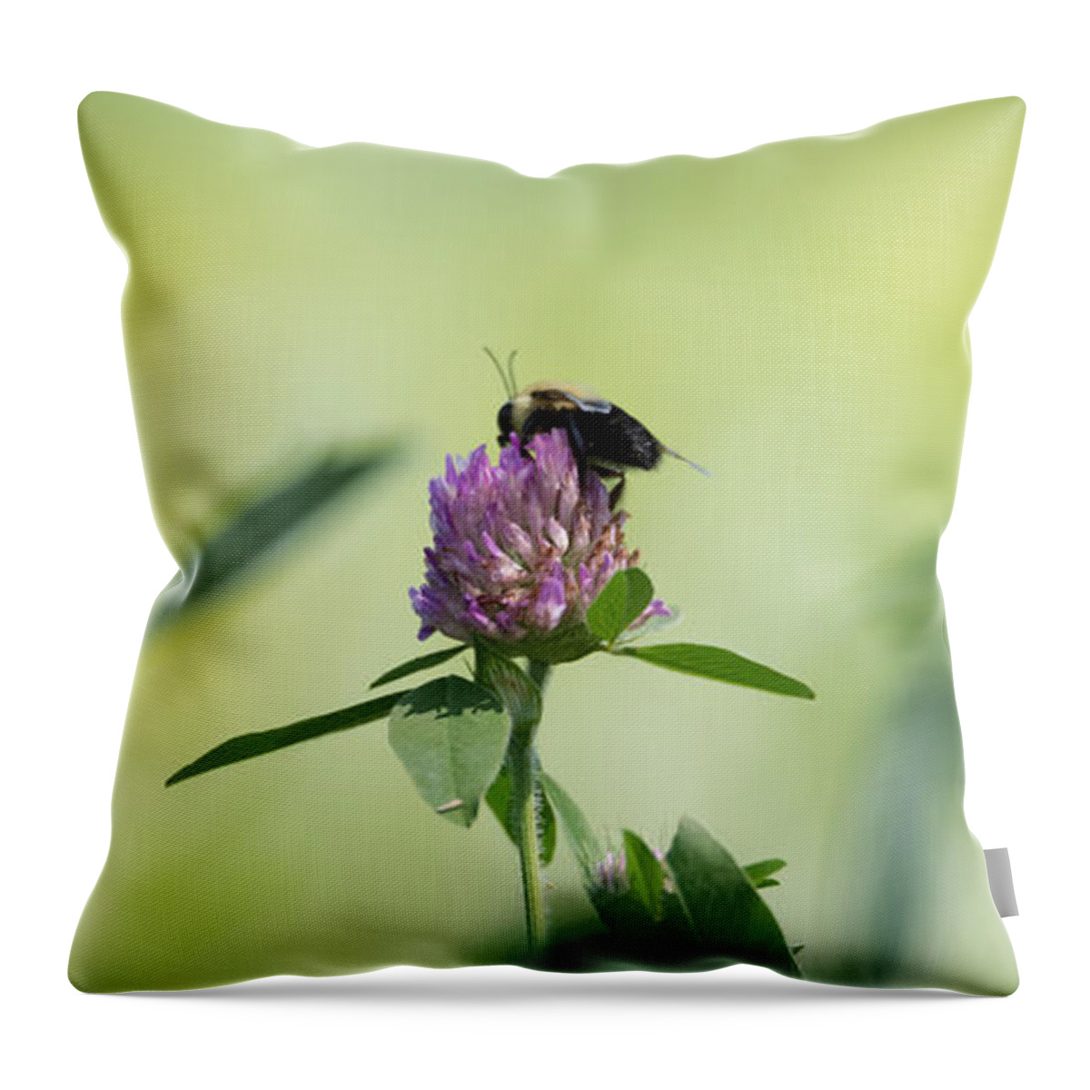 Pollination Throw Pillow featuring the photograph Pollination  by Holden The Moment