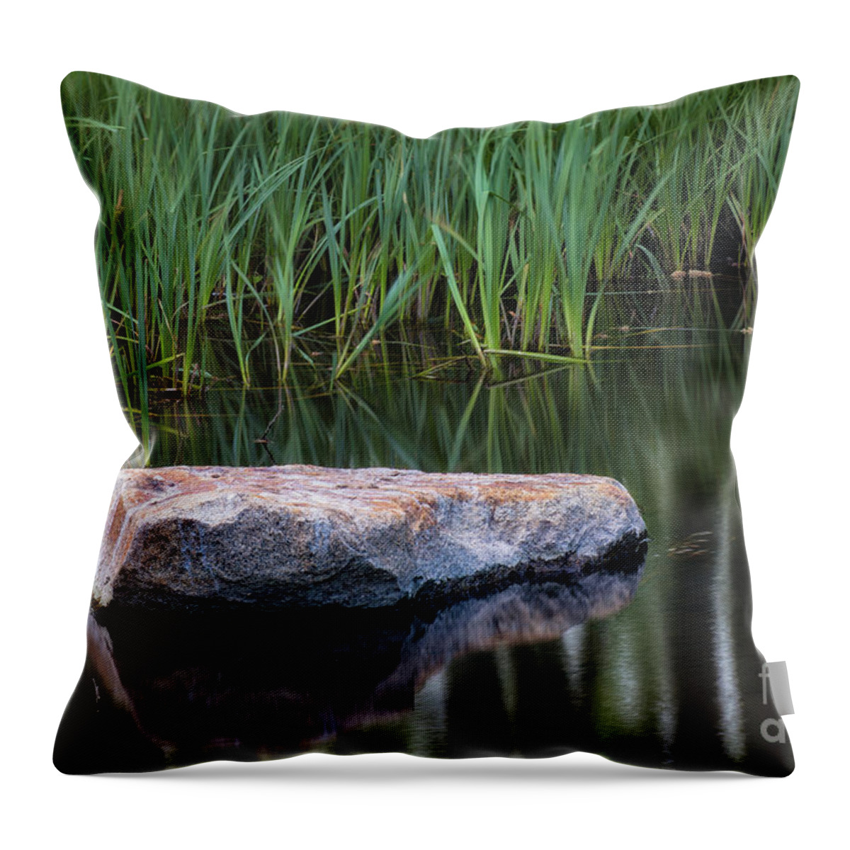 Pond Throw Pillow featuring the photograph Pond by Anthony Michael Bonafede