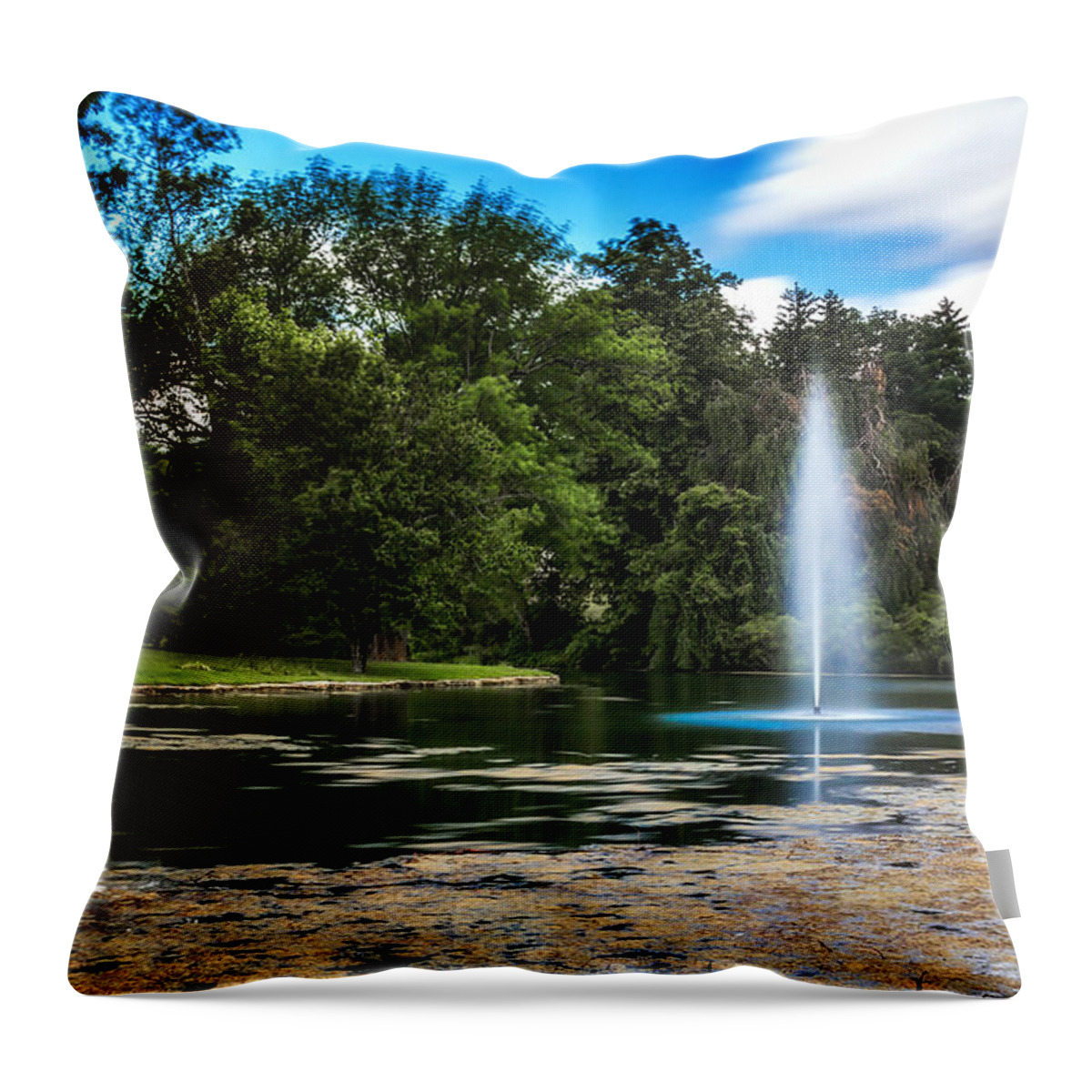 Arboretum Throw Pillow featuring the photograph Pond at Spring Grove by Tom Mc Nemar