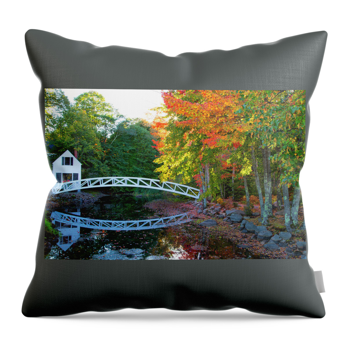 Reflection Throw Pillow featuring the photograph Pond Bridge Reflection by Nancy Dunivin