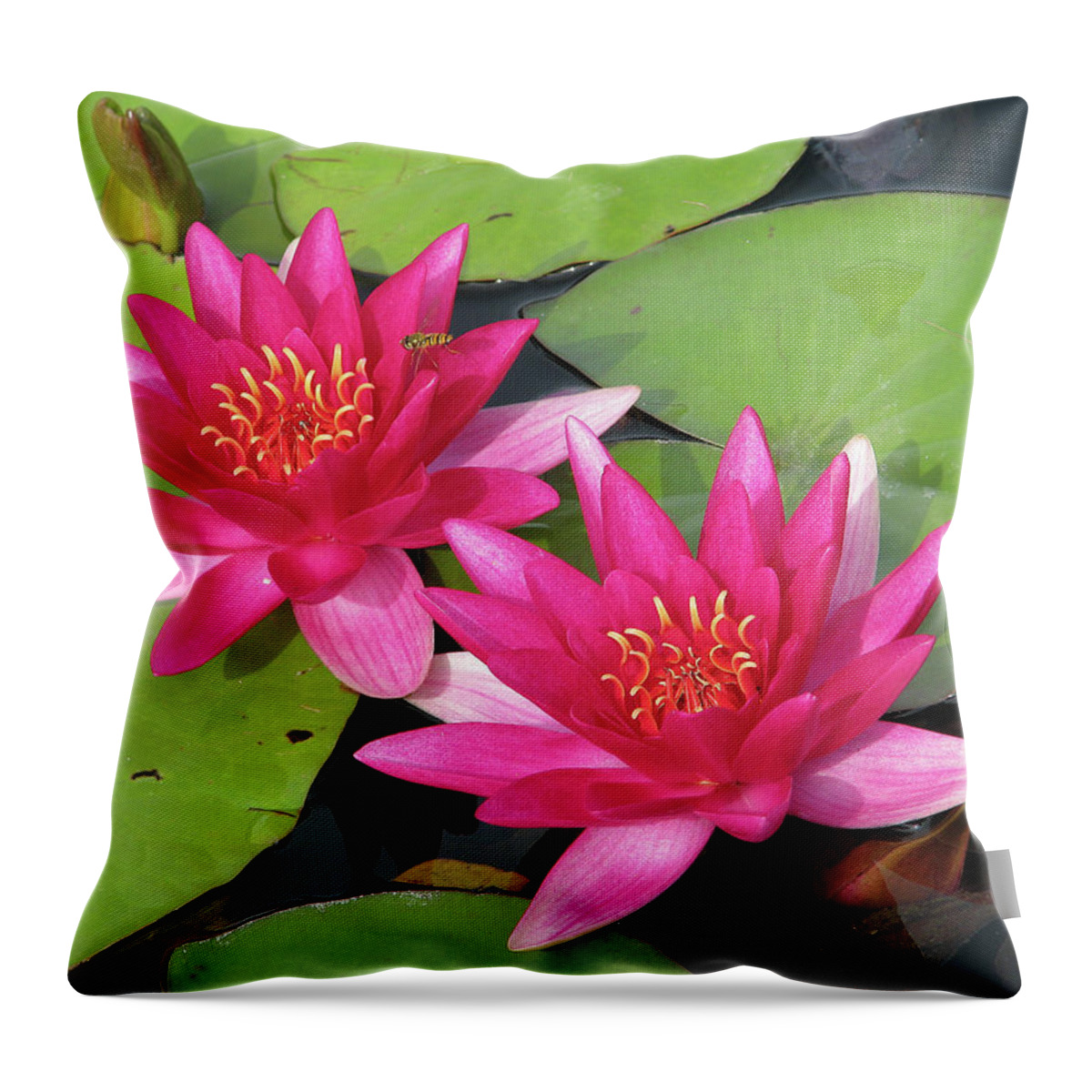 Pond Throw Pillow featuring the photograph Pond Scene by Ted Keller