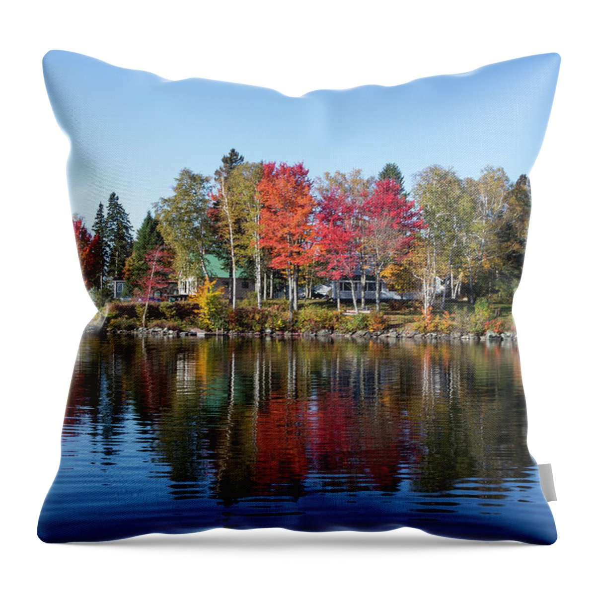 Foliage Throw Pillow featuring the photograph Popping Colors by Darryl Hendricks