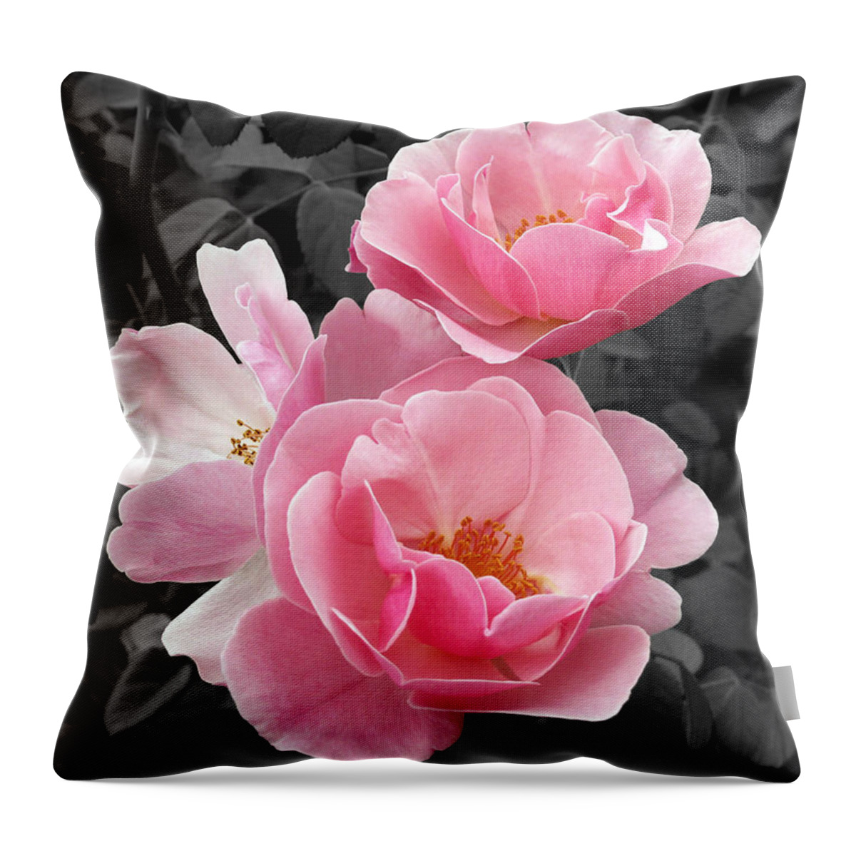 Flower Throw Pillow featuring the photograph Popping Pink Roses by Amy Fose