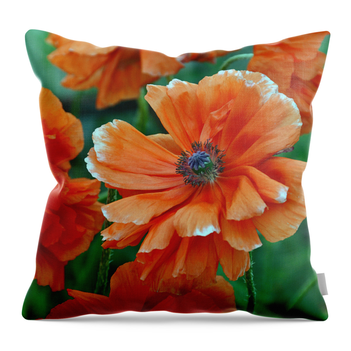 Papaver Somniferum. Opium Throw Pillow featuring the photograph Poppy Fields by Angelina Tamez