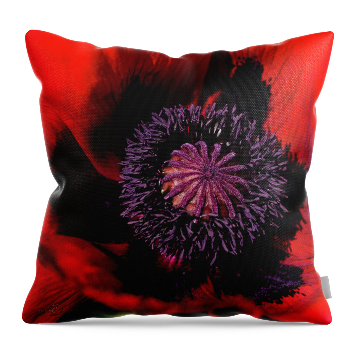 Poppy Throw Pillow featuring the photograph Poppy by Torbjorn Swenelius