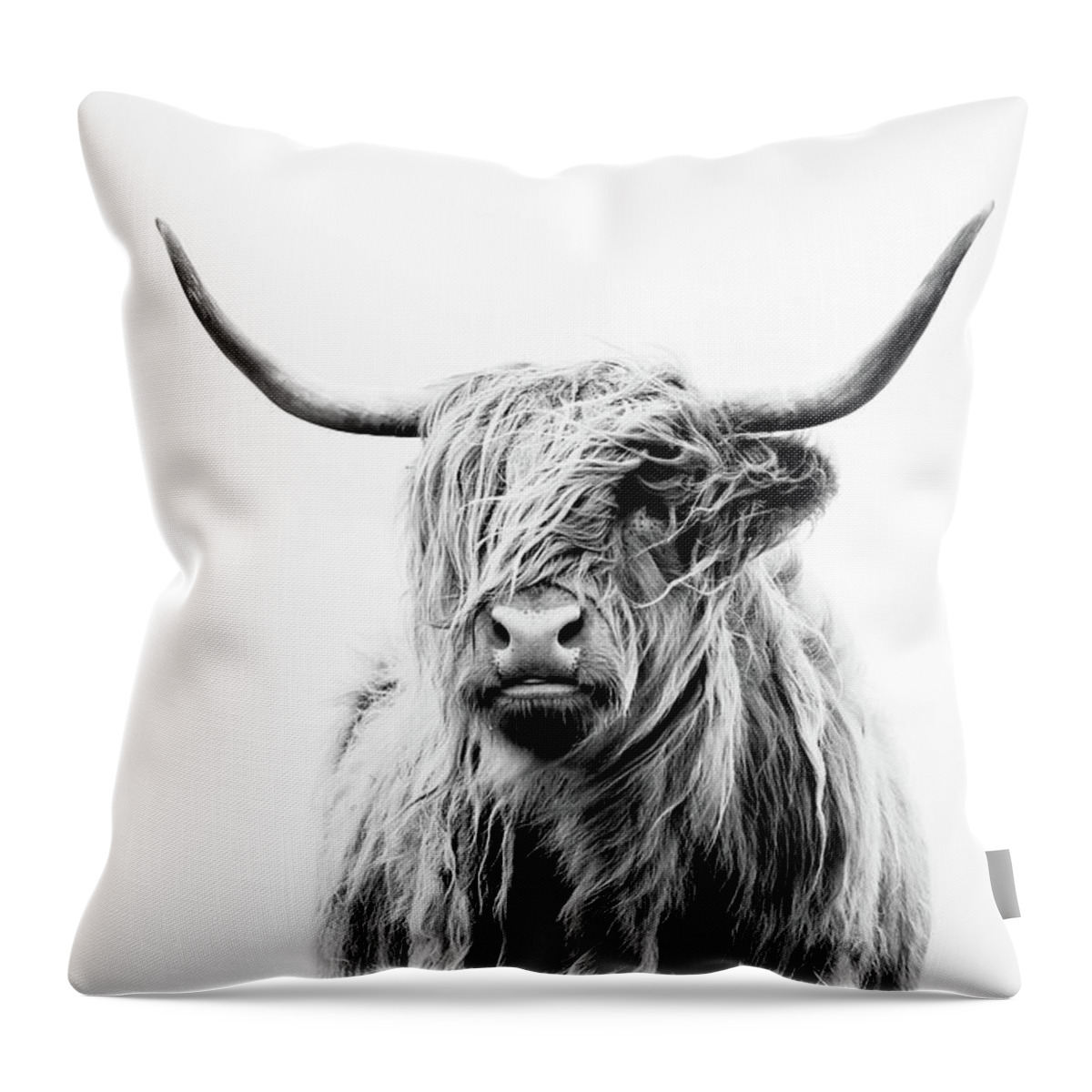 Animals Throw Pillow featuring the photograph Portrait Of A Highland Cow by Dorit Fuhg