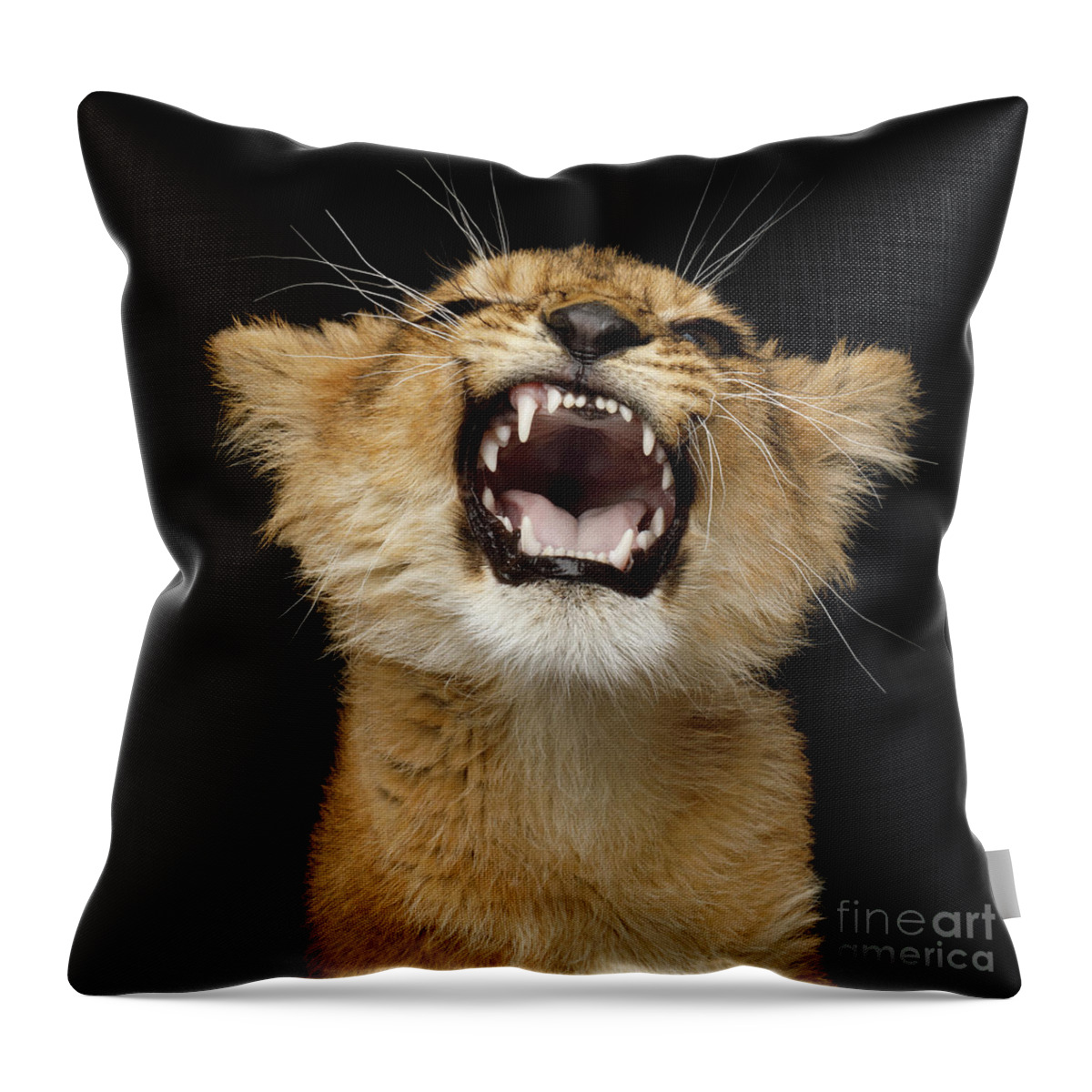 Portrait Throw Pillow featuring the photograph Portrait of roaring little lion by Sergey Taran