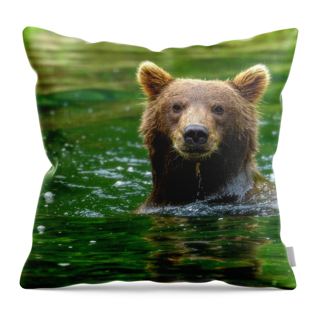 Pose Throw Pillow featuring the photograph Pose by Chad Dutson