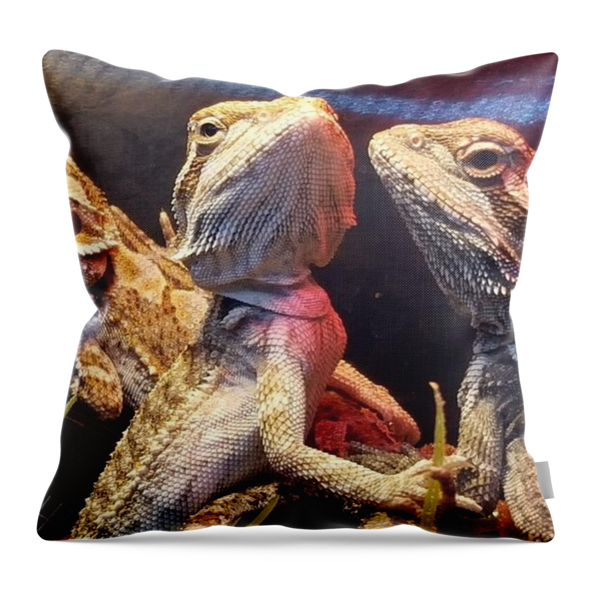 Reptiles Throw Pillow featuring the photograph Posers at the Pet Store by Dani McEvoy
