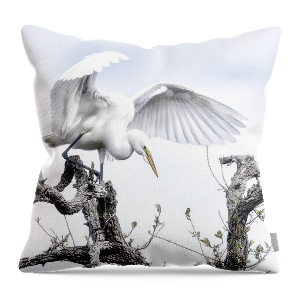 Crystal Yingling Throw Pillow featuring the photograph Pre-flight by Ghostwinds Photography