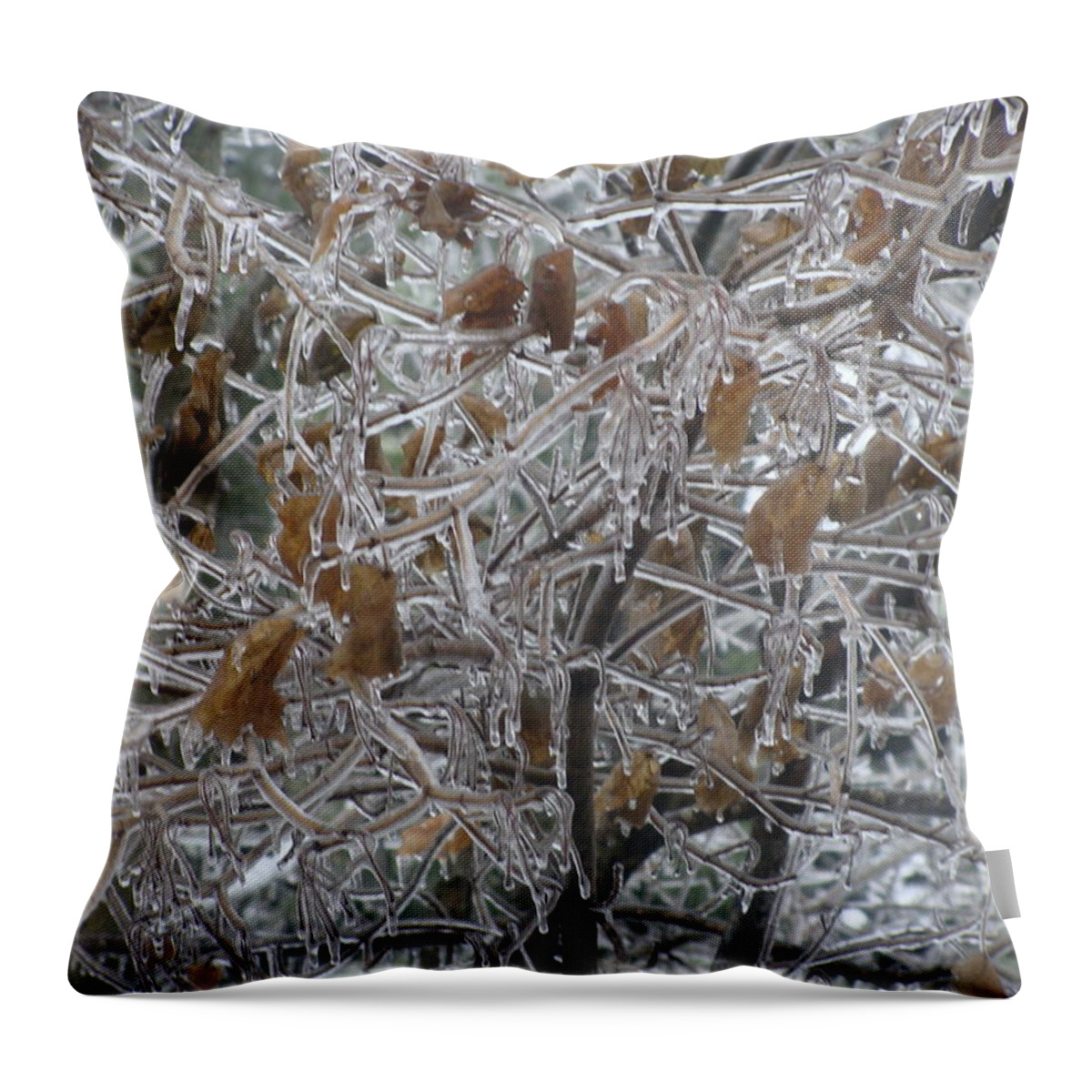 Frozen Throw Pillow featuring the photograph Pretty as Glass by Stacie Siemsen