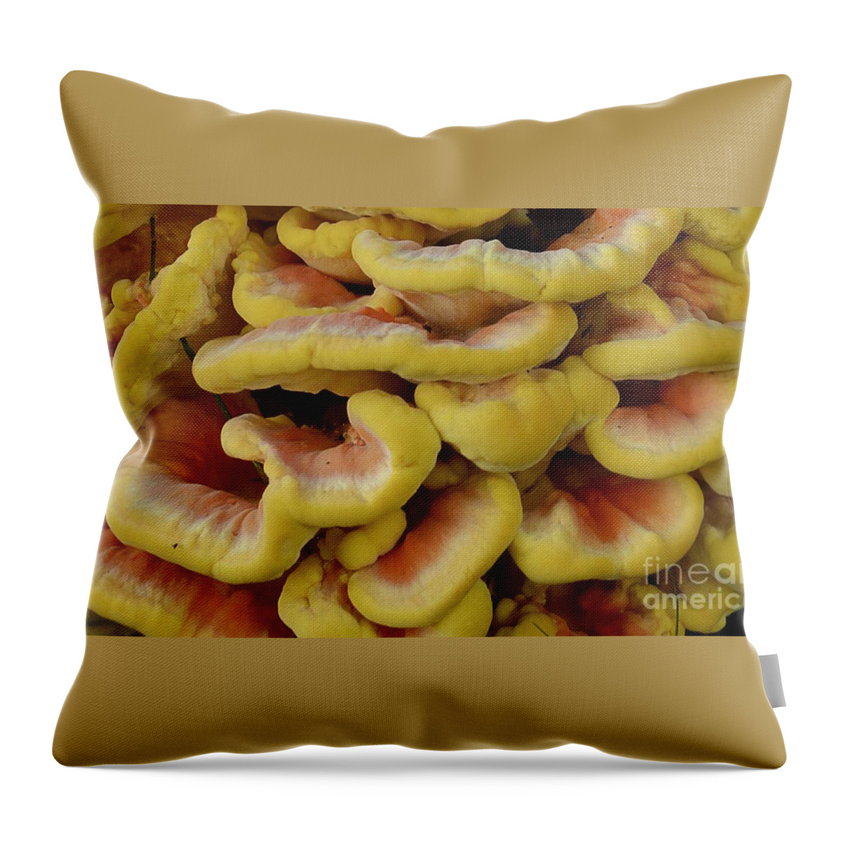 High Virginia Images Throw Pillow featuring the photograph Pretty Chicken by Randy Bodkins