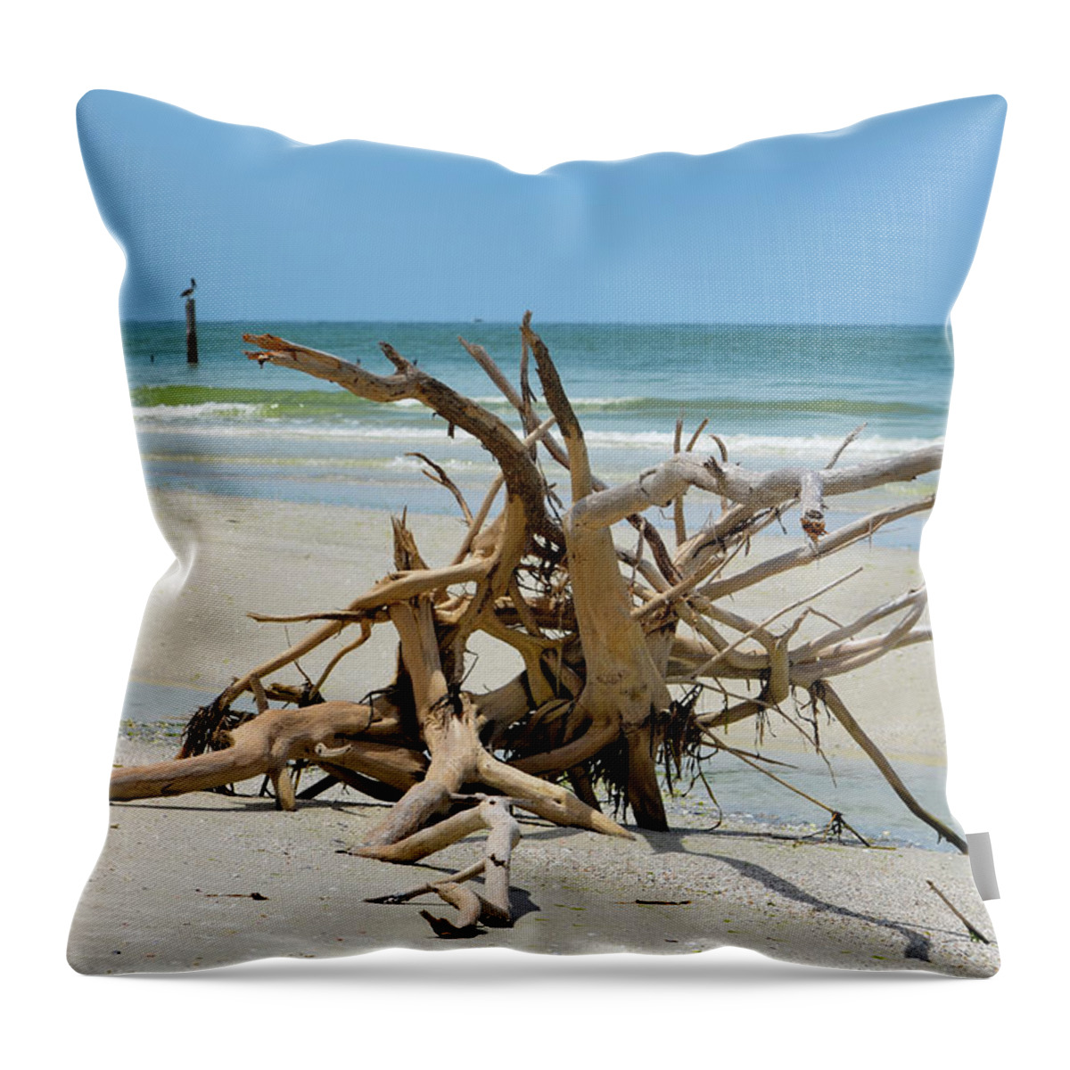 Beach Throw Pillow featuring the photograph Pretzel by Artful Imagery