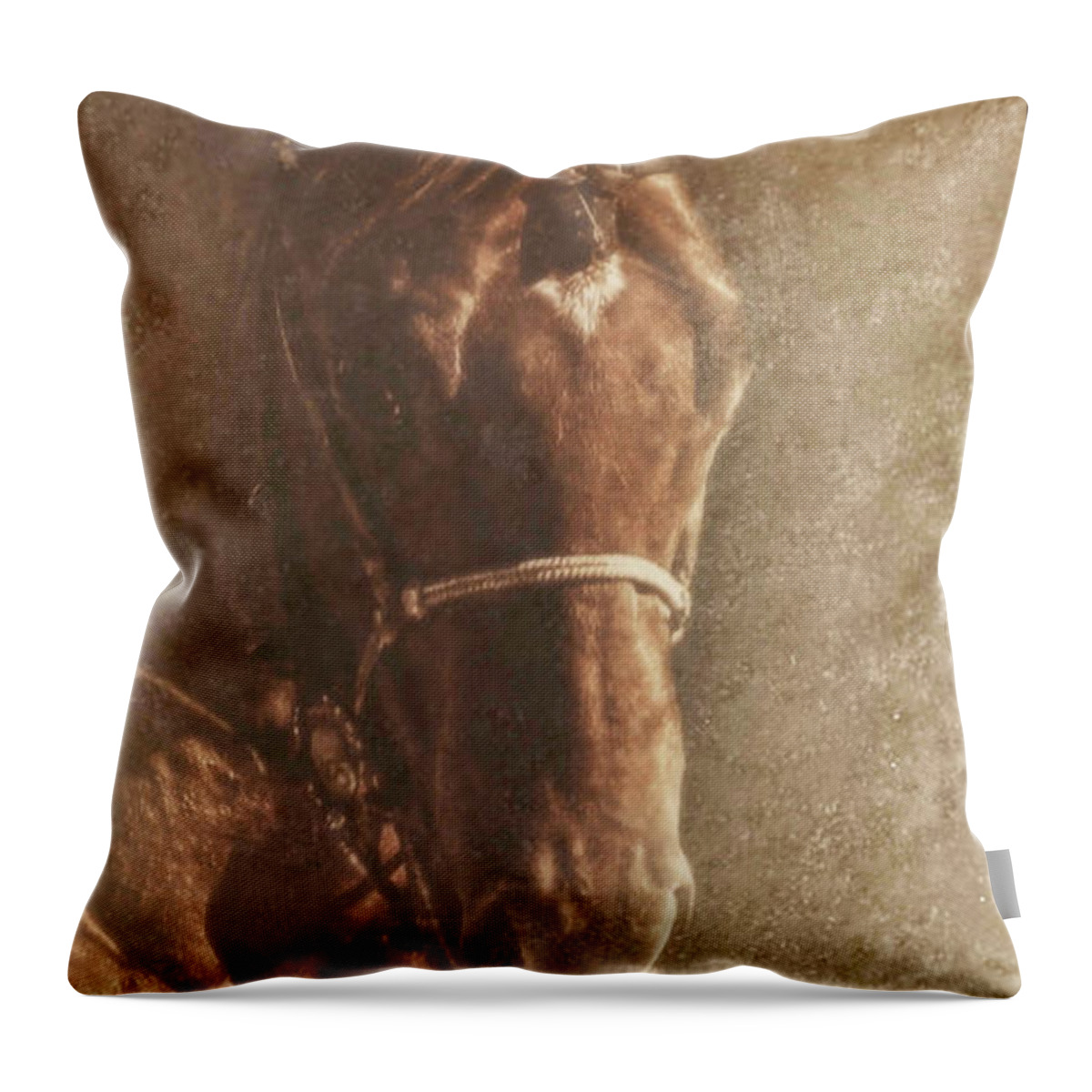 Prowess Throw Pillow featuring the photograph Prowess and Power by Amanda Smith