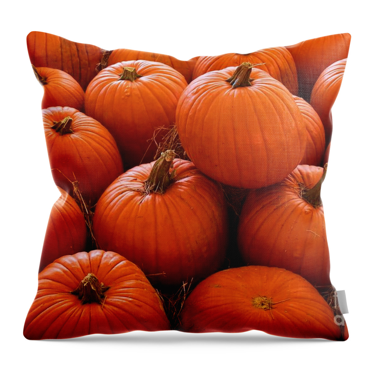 Photo For Sale Throw Pillow featuring the photograph Pumpkin Parch 3 by Robert Wilder Jr