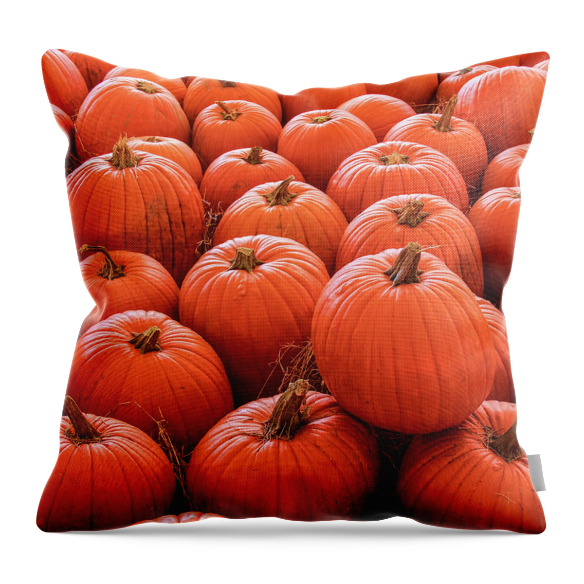 Autumn Throw Pillow featuring the photograph Pumpkin Patch by Robert Wilder Jr