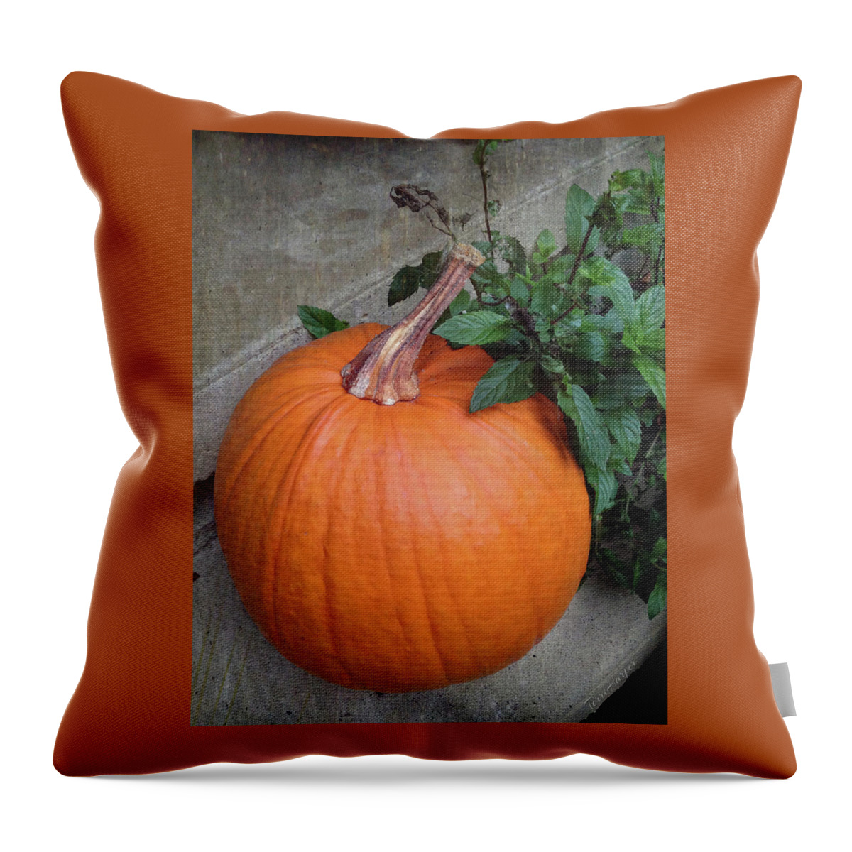 Pumpkin Throw Pillow featuring the photograph Pumpkin by Terri Harper