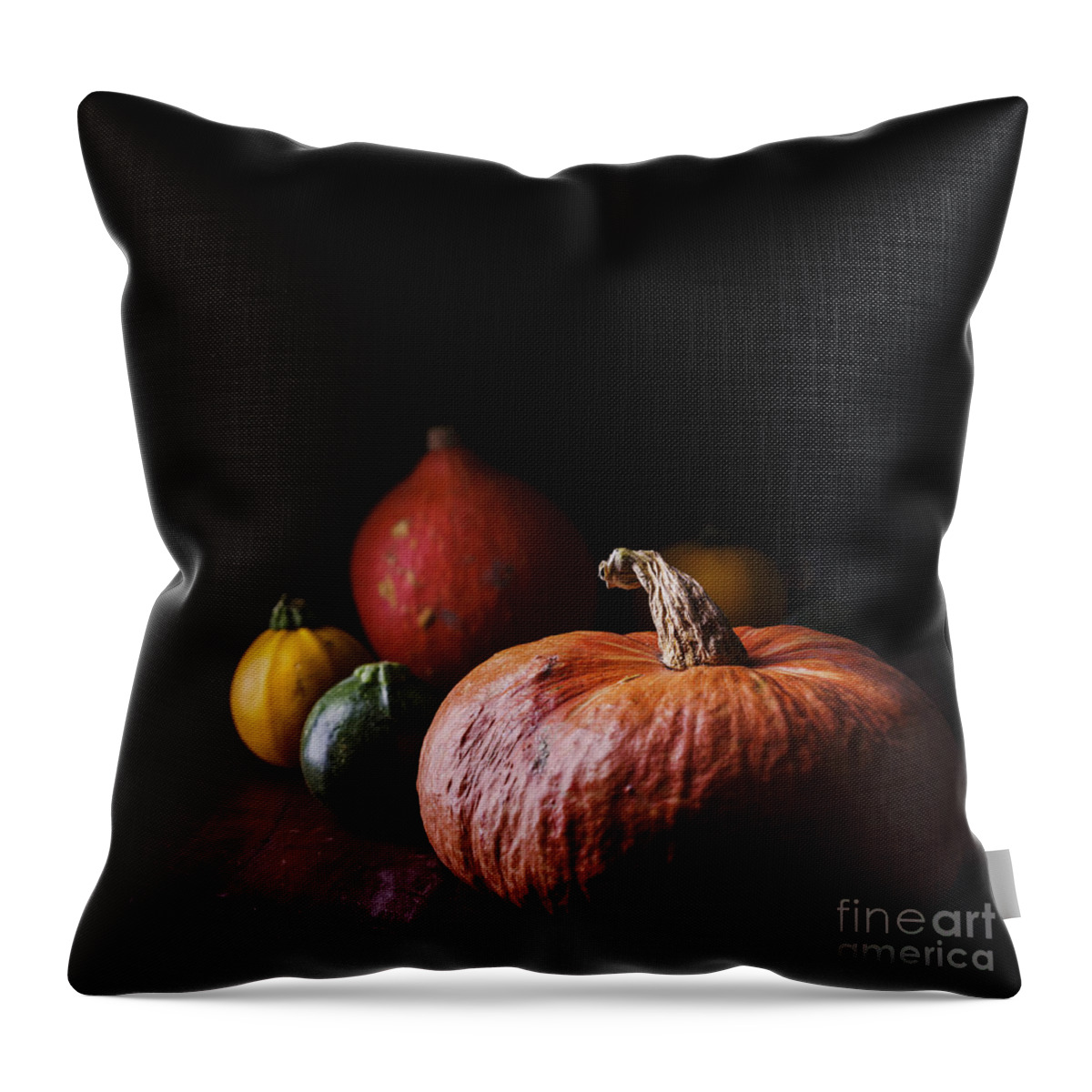 Pumpkin Throw Pillow featuring the photograph Pumpkins by Jelena Jovanovic