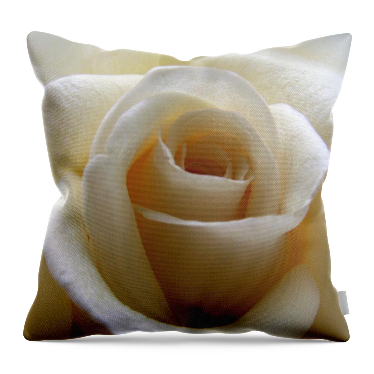 Rose Throw Pillow featuring the photograph Purity by Amy Fose
