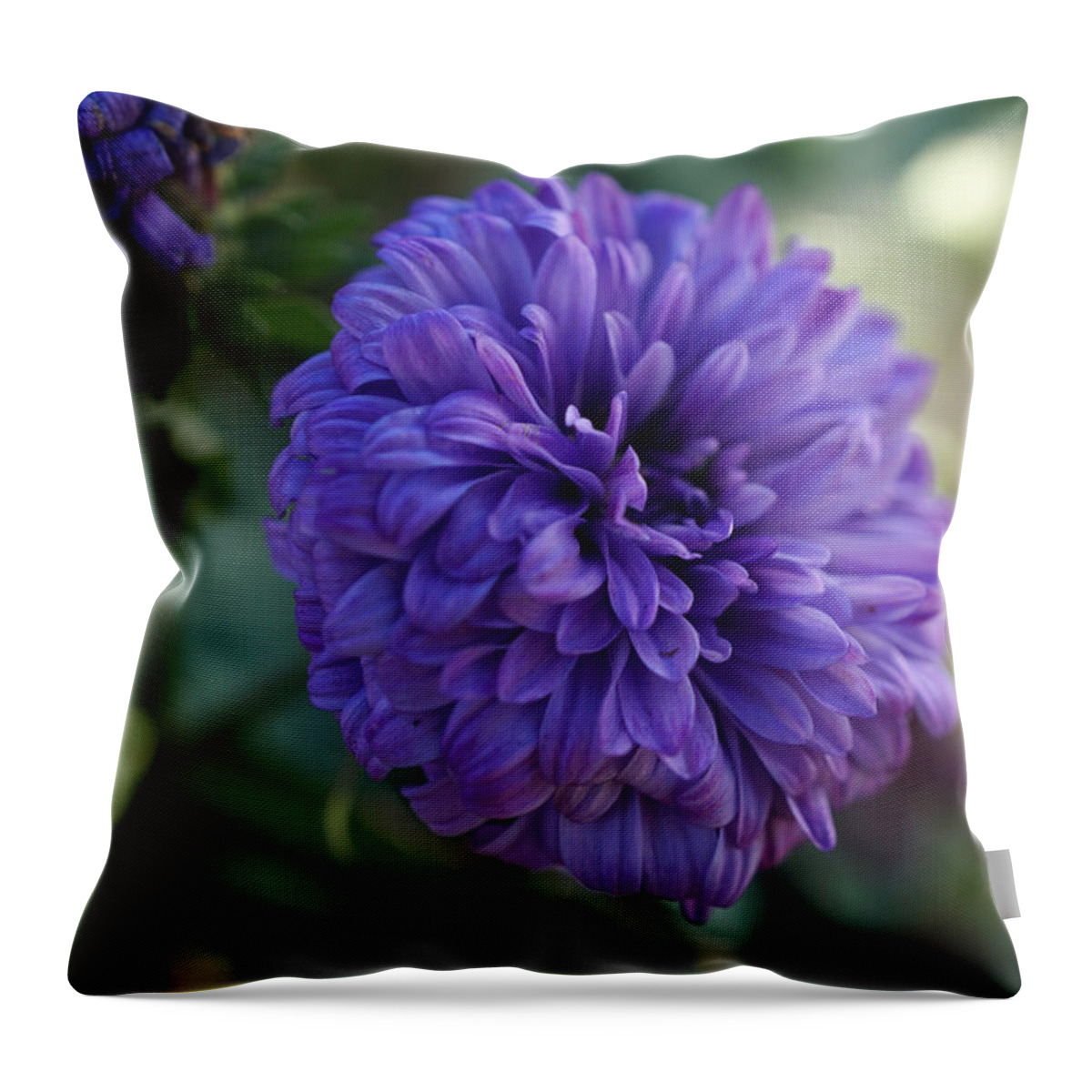 Beautiful Throw Pillow featuring the photograph Purple beauty by Lilia D