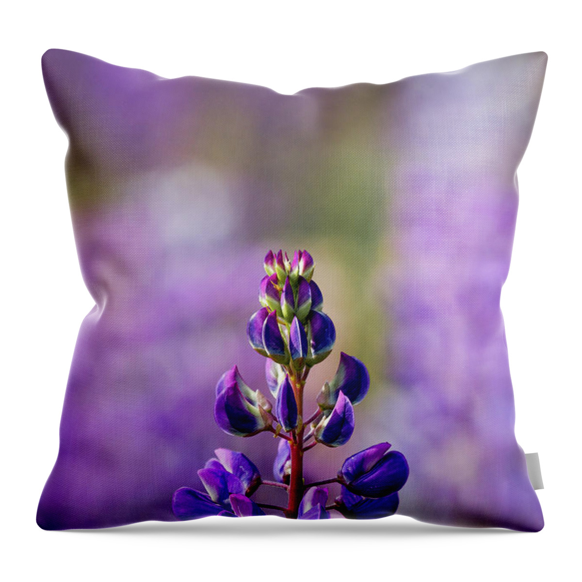 Flowers Throw Pillow featuring the photograph Purple by Darryl Hendricks