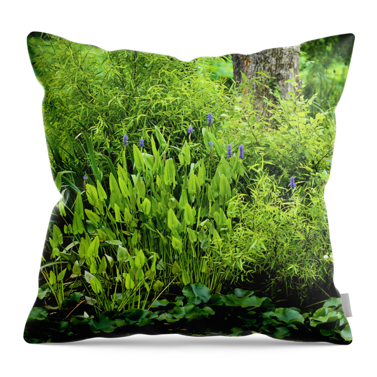 Bloom Throw Pillow featuring the photograph Purple Flowers by the Ponds Edge by Dennis Dame