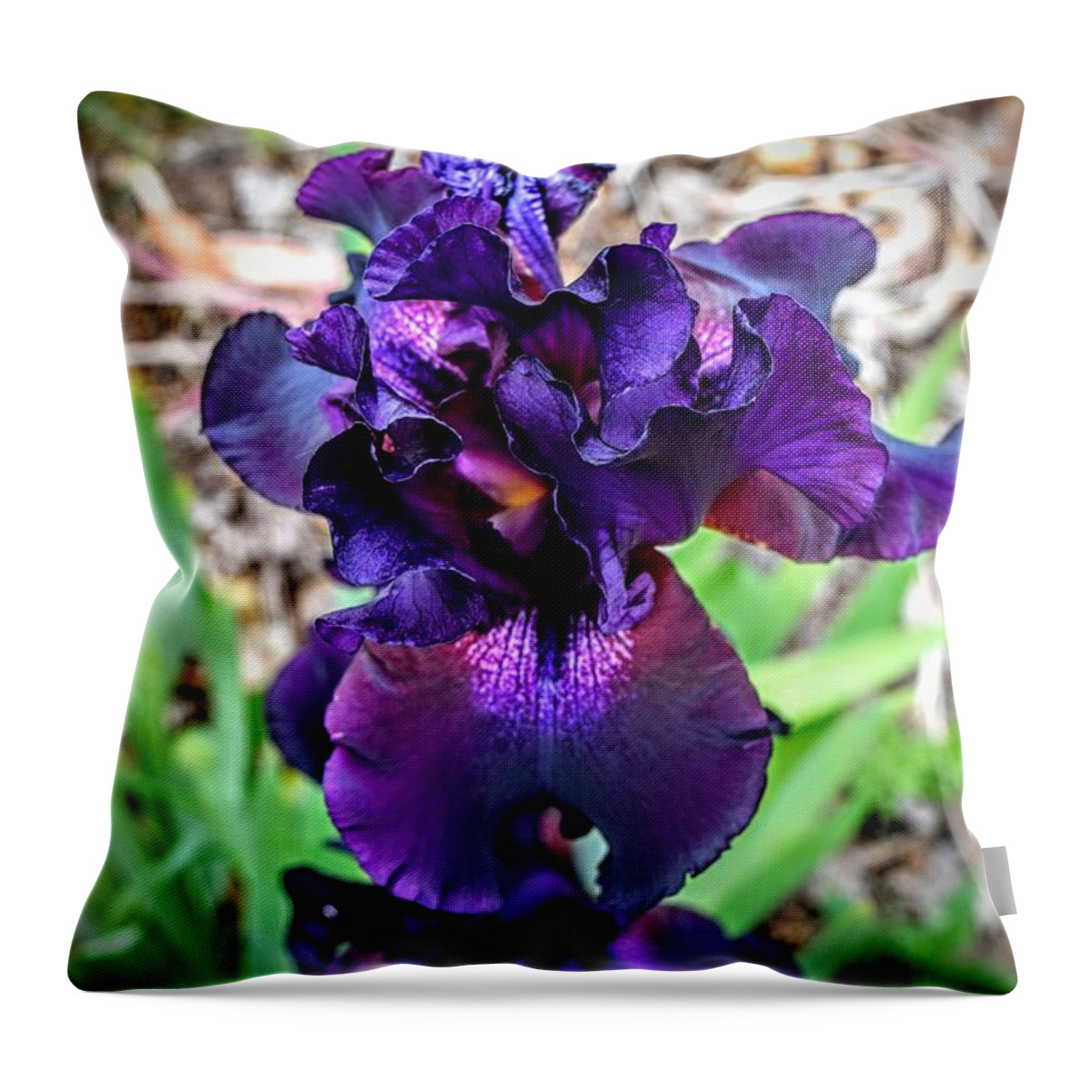 Purple Iris Throw Pillow featuring the photograph Purple Maze by Michael Brungardt
