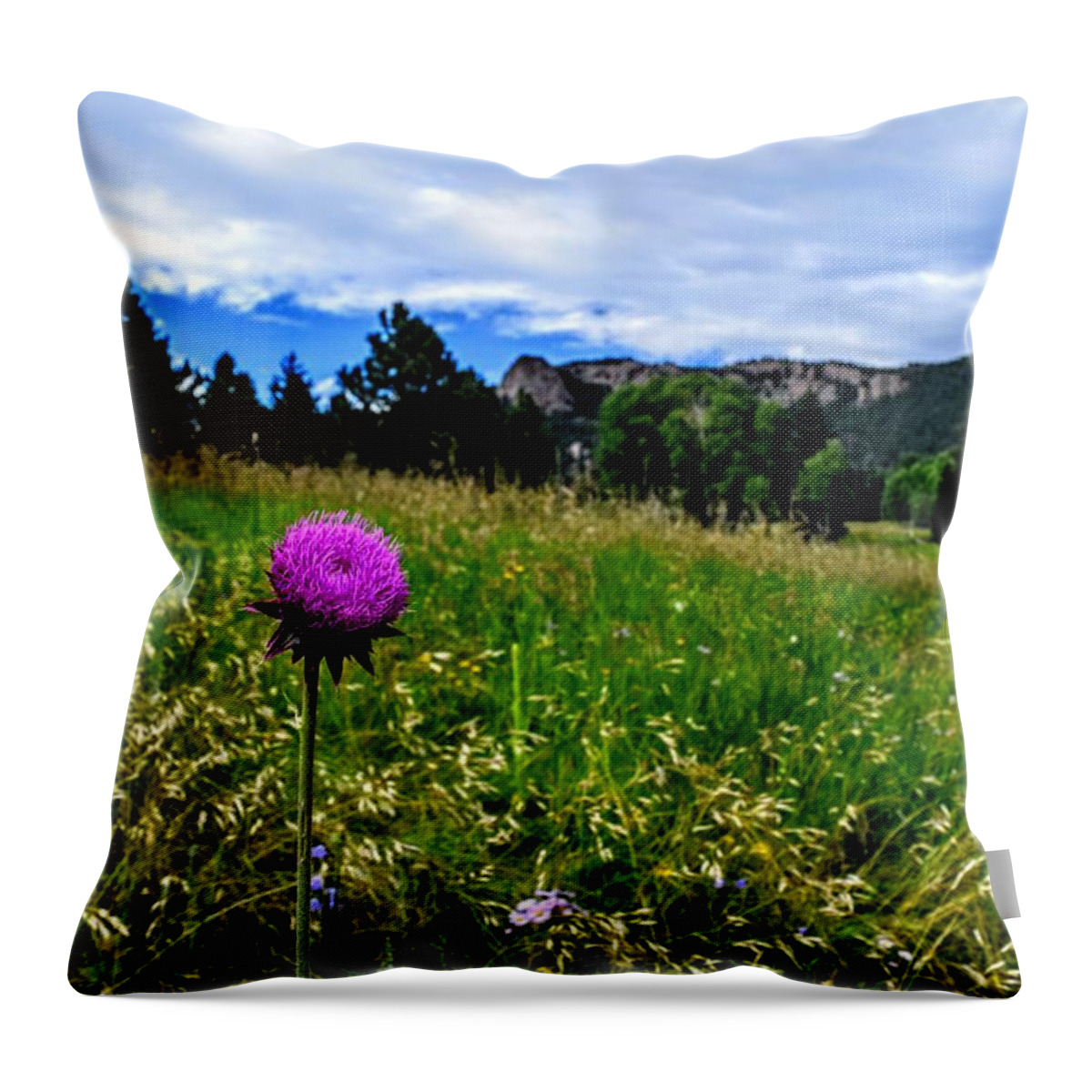 Purple Flower Throw Pillow featuring the photograph Purple Mountain Attention by Michael Brungardt