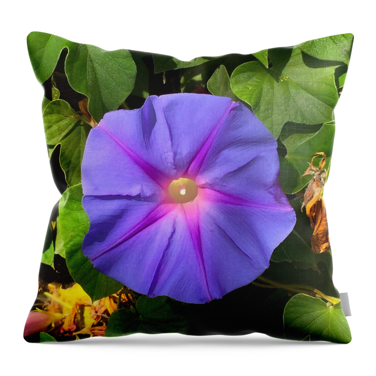 Fauna Throw Pillow featuring the photograph Purple Star by Brad Hodges