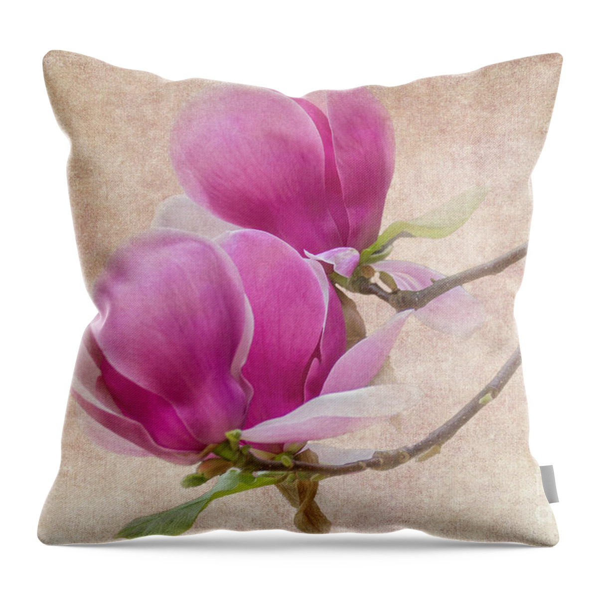 Magnolia Throw Pillow featuring the photograph Purple Tulip Magnolia by Heiko Koehrer-Wagner