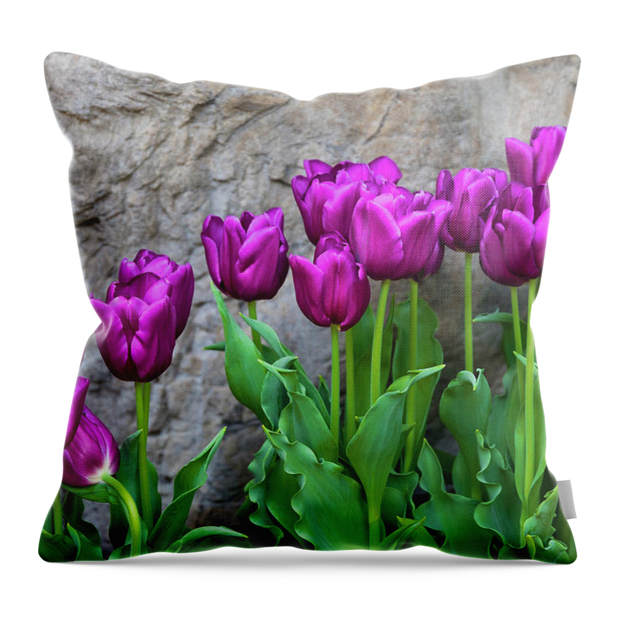 Flower Throw Pillow featuring the photograph Purple Tulips by Tom Mc Nemar