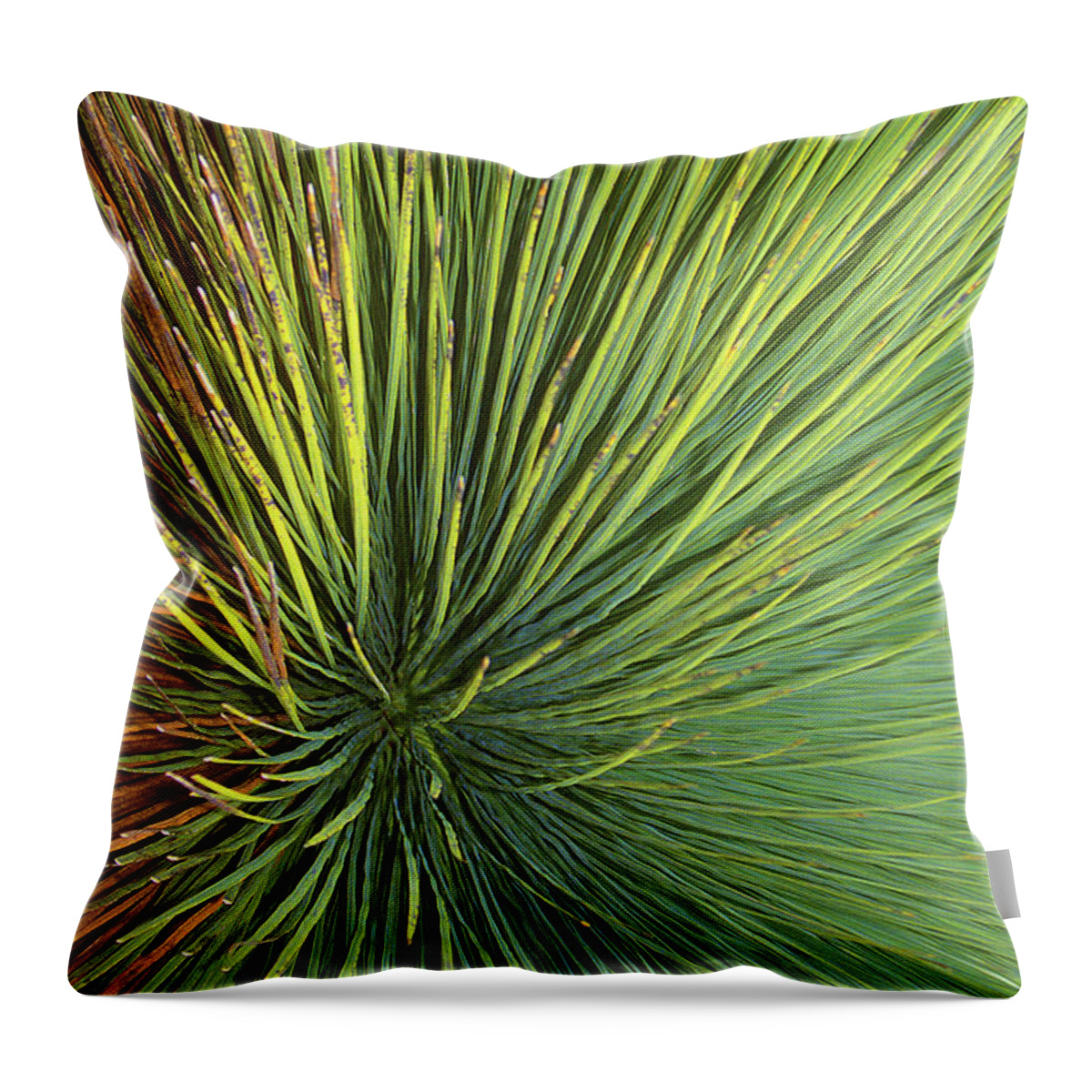 Radiate Throw Pillow featuring the photograph Radiating by Ted Keller