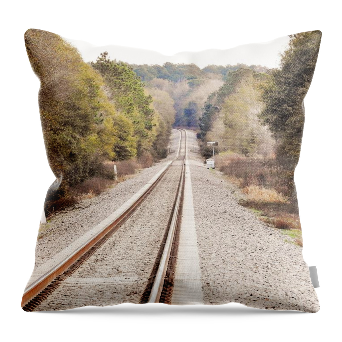 Railroads Throw Pillow featuring the photograph Railroad Images by Jan Gelders