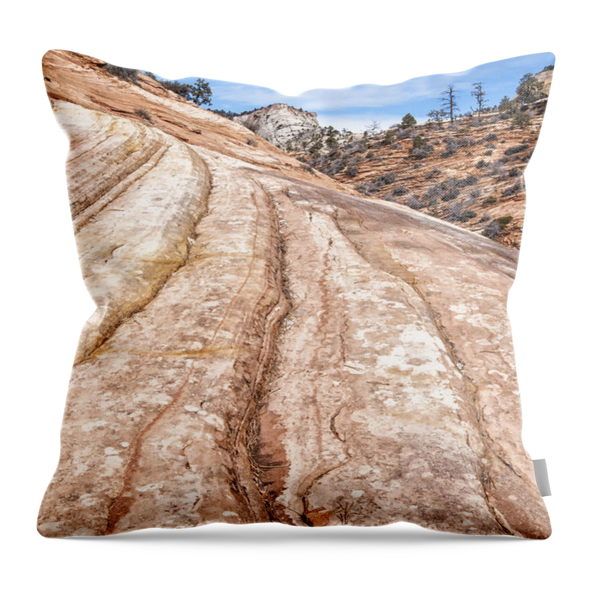 Crystal Yingling Throw Pillow featuring the photograph Rain Worn by Ghostwinds Photography