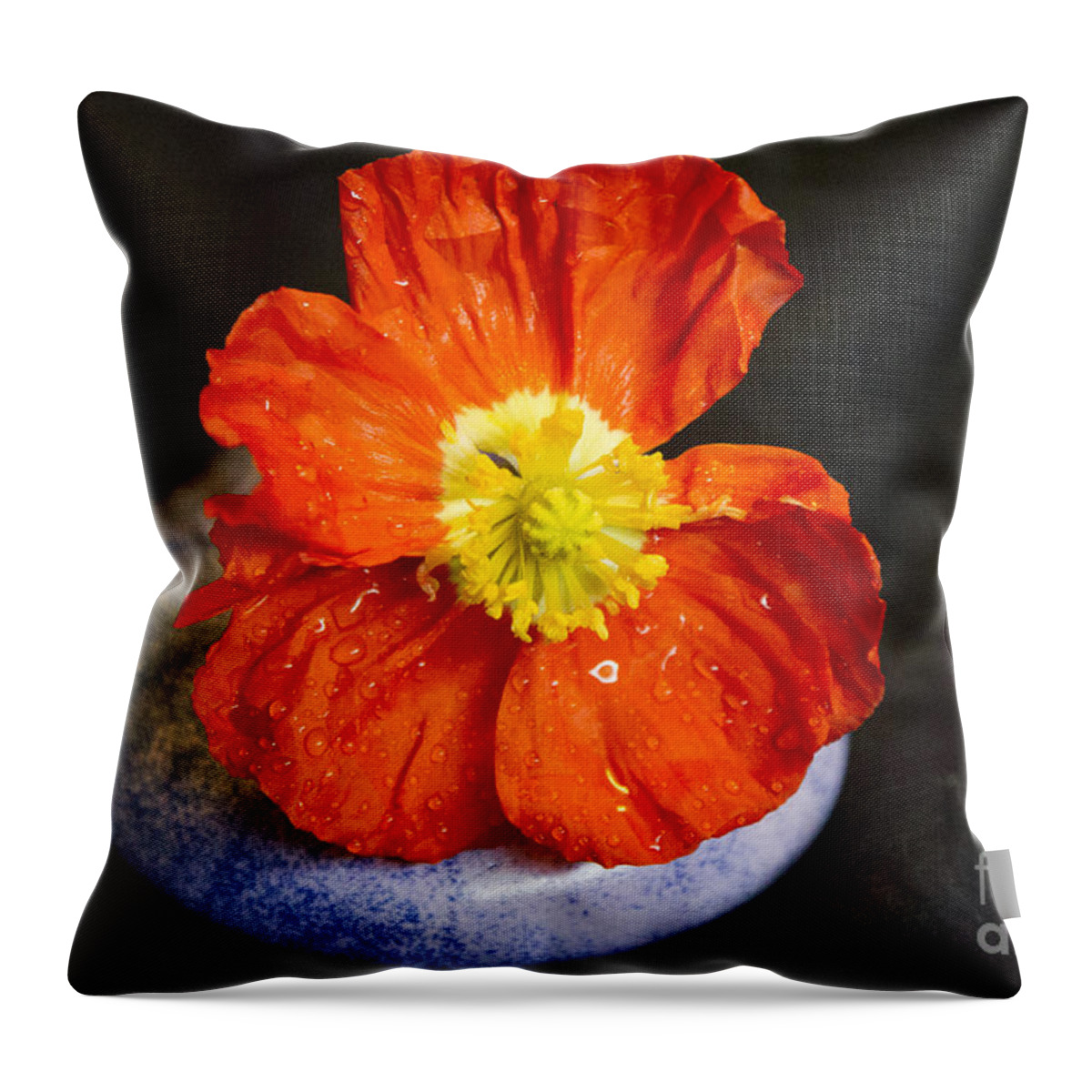 Raindrops Throw Pillow featuring the photograph Raindrops on Poppy by Jeanette French
