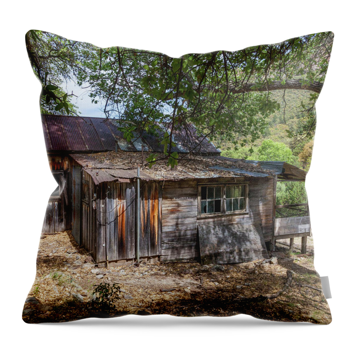 Cabin Throw Pillow featuring the photograph Ramsey Canyon Cabin by Lon Dittrick