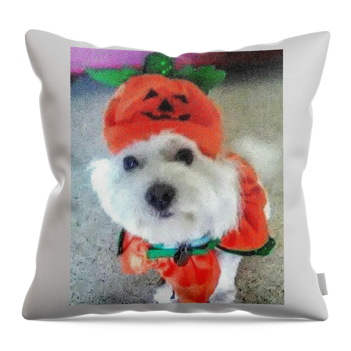 Coton De Tulear Throw Pillow featuring the photograph Really Halloween by Suzanne Berthier